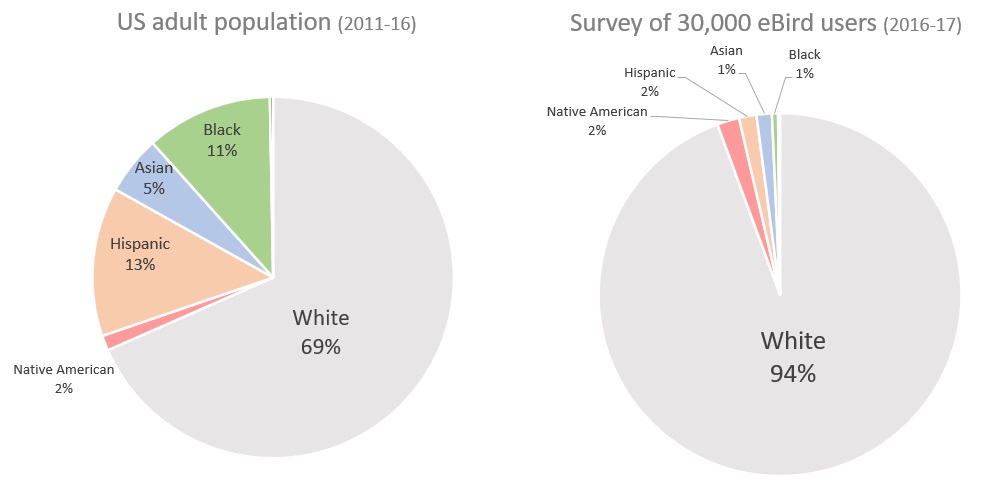 Pie graphs of US adult population and eBird users by ethno-racial group.