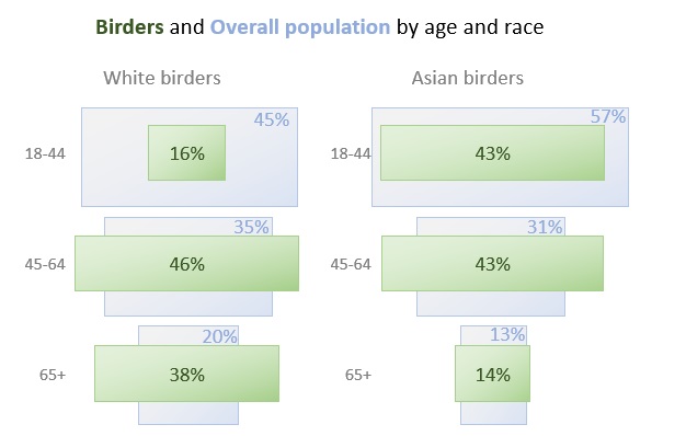 graph of birders and overall population by age categories -- for white and Asian birders